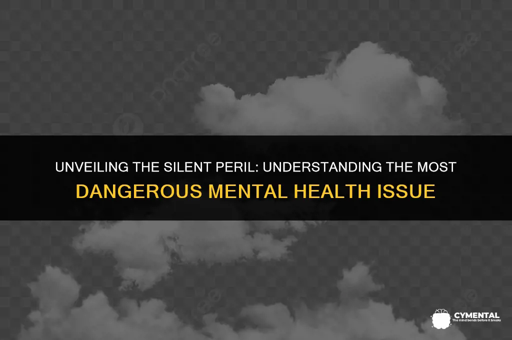 what is the most dangerous mental health issue