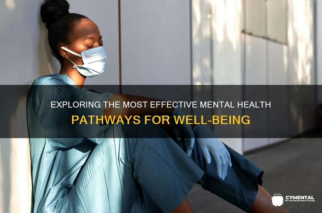 what is the most helpful mental health route