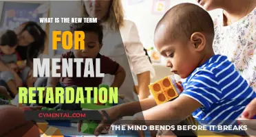 Understanding Intellectual Disabilities: A Modern Perspective
