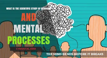 Exploring the Depths of Psychology: The Scientific Study of Behavior and Mind