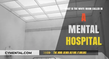 Exploring the Purpose and History of White Rooms in Mental Health Facilities