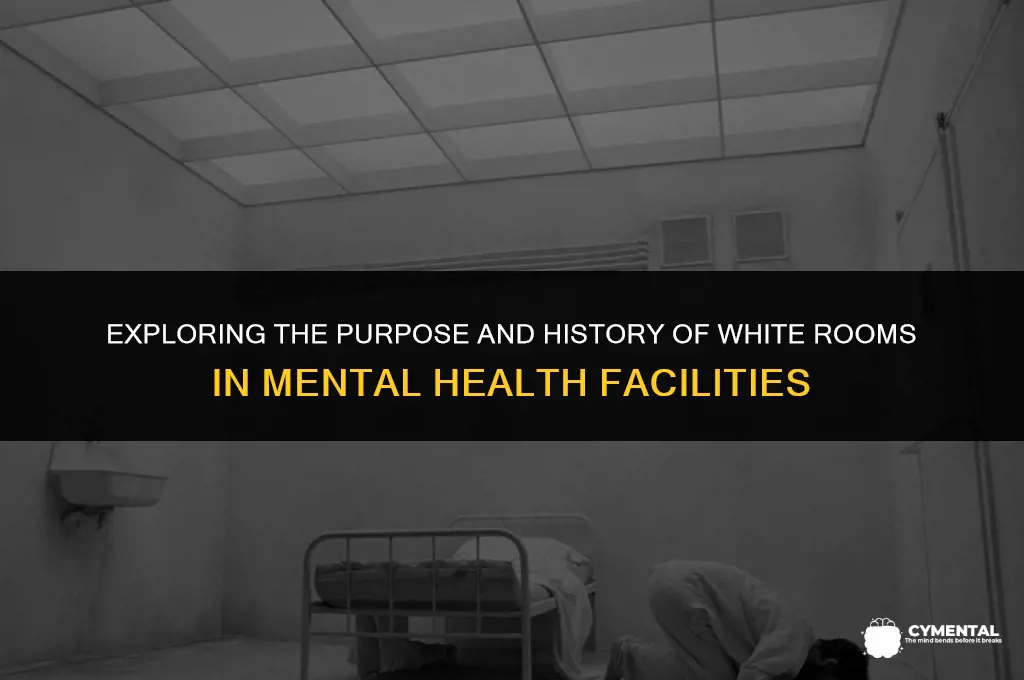 what is the white room called in a mental hospital