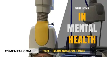 Understanding TMS: A Breakthrough Therapy for Mental Health