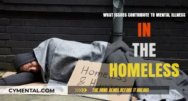 Unseen Struggles: Mental Illness and Homelessness - A Complex Interplay