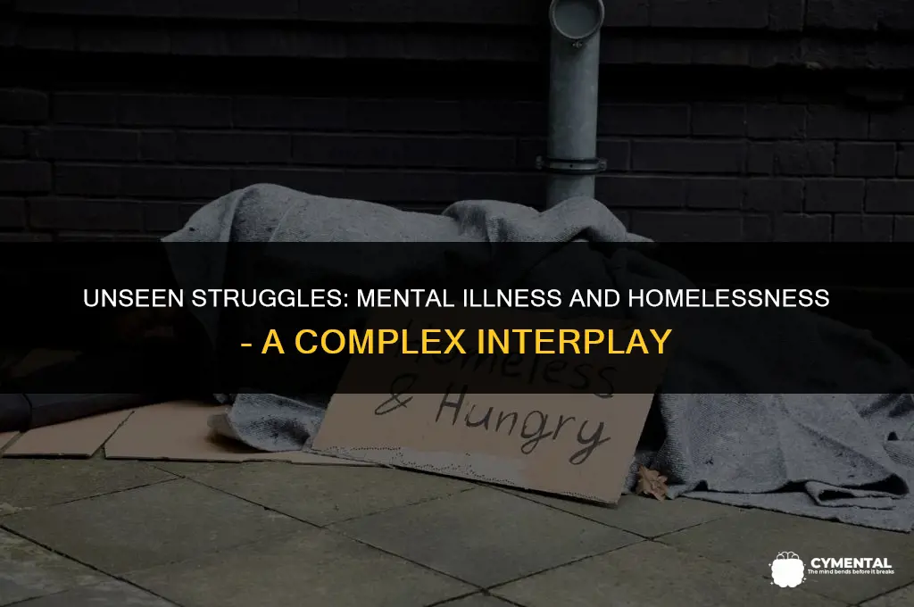 what issues contribute to mental illness in the homeless