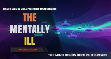 Challenges of Incarcerating the Mentally Ill: A Jail's Dilemma