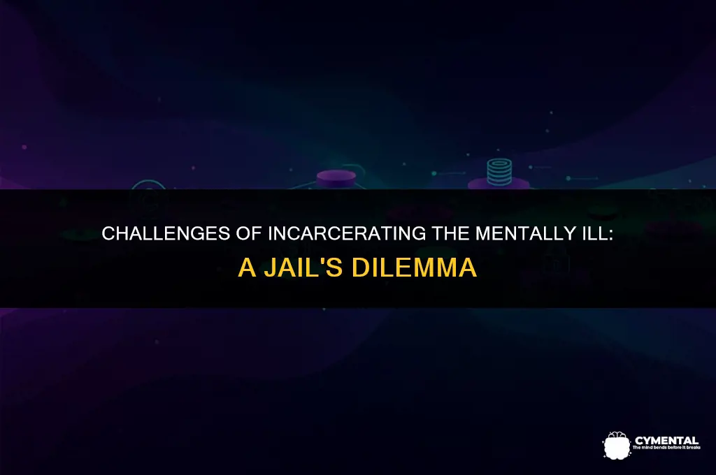 what issues do jails face when incarcerating the mentally ill