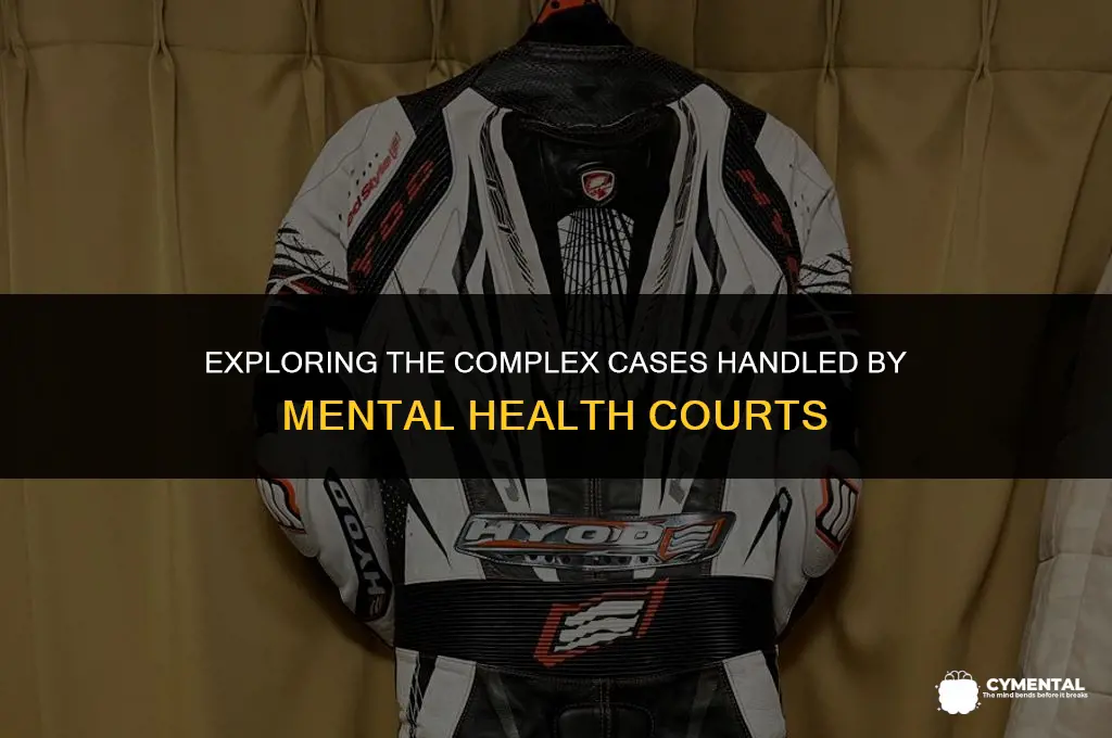 what issues does a mental health court have dealings with