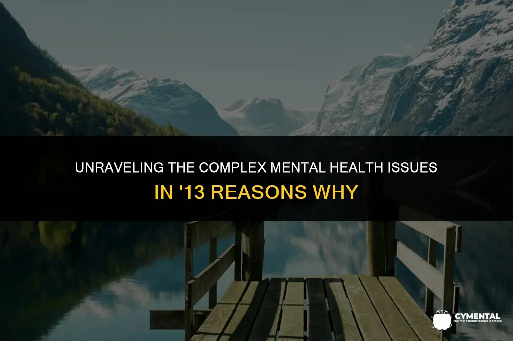 what issues or mental illness does 13 reasons why have