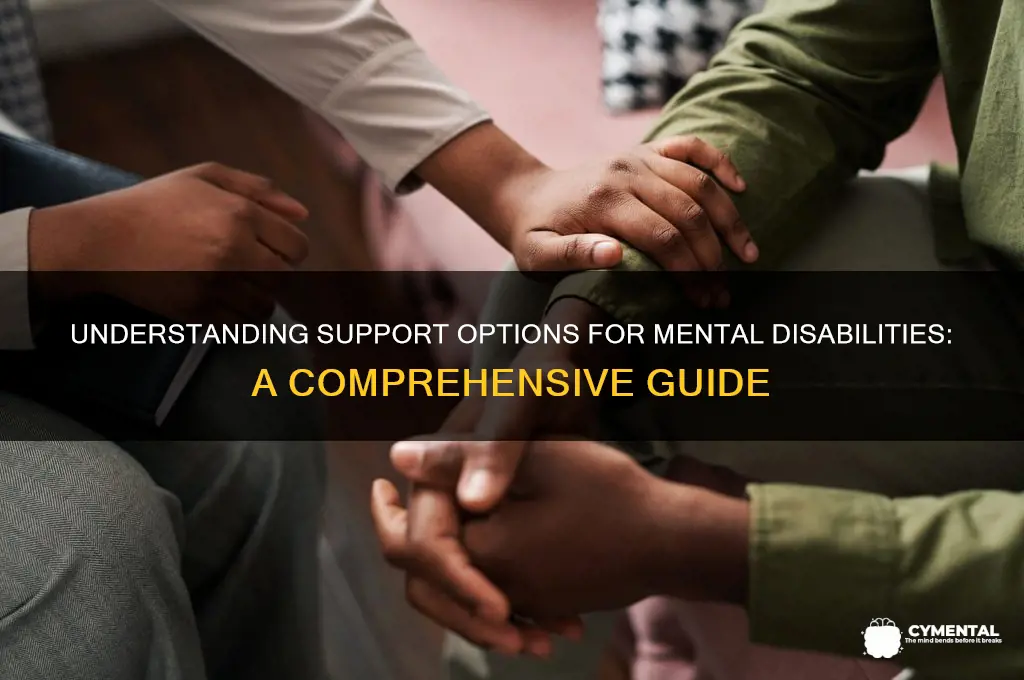 what kind of help can i get for mental disability