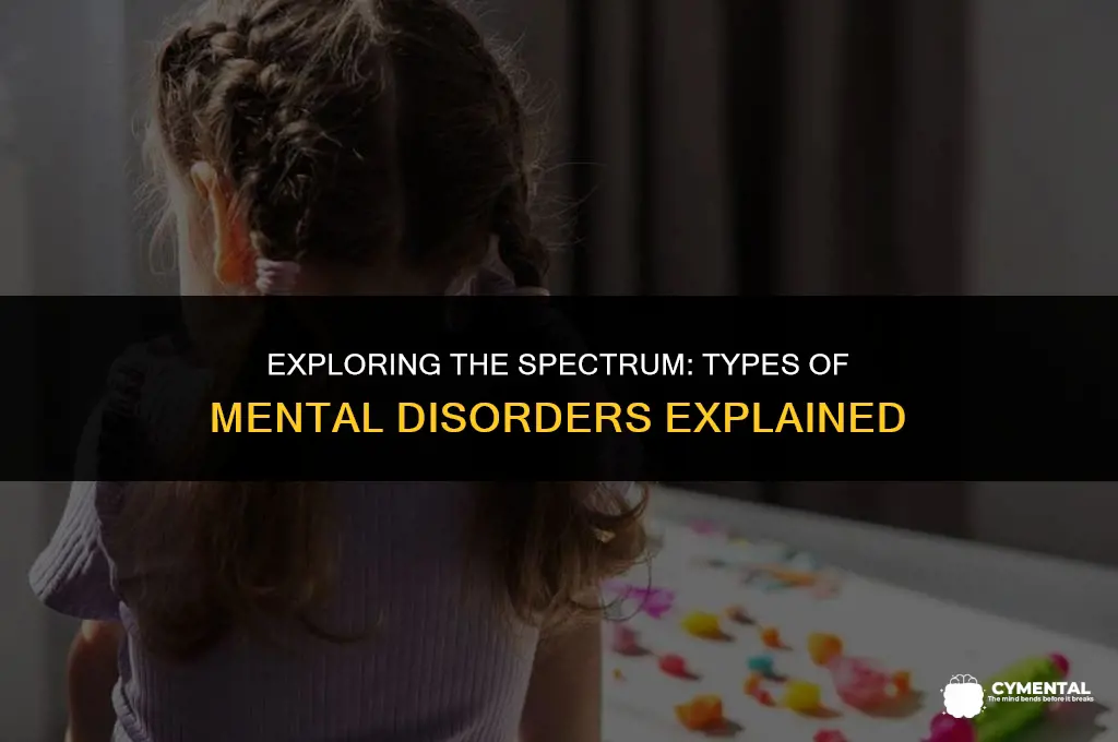 what kinds of mental disorders are there