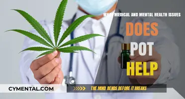 Exploring Cannabis Benefits: Medical and Mental Health Conditions It Aids