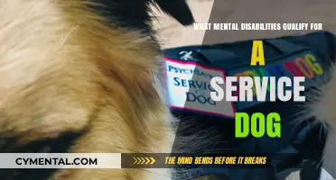 Qualifying Mental Disabilities for Service Dogs: A Comprehensive Guide
