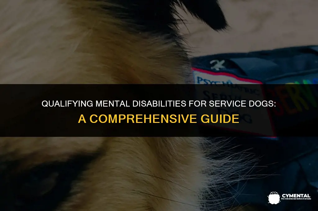 what mental disabilities qualify for a service dog