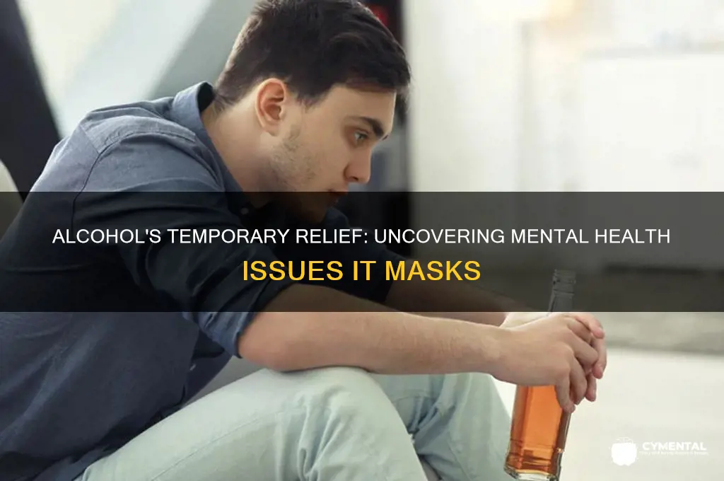 what mental health issues does alcohol help