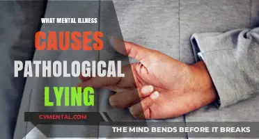 Unraveling the Link: Mental Illness and Pathological Lying Explored