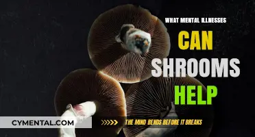 Exploring Shrooms' Potential in Treating Mental Health Disorders