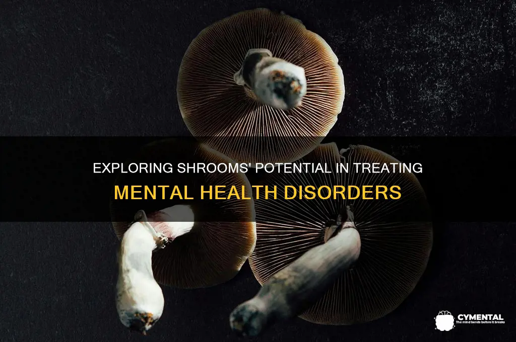 what mental illnesses can shrooms help