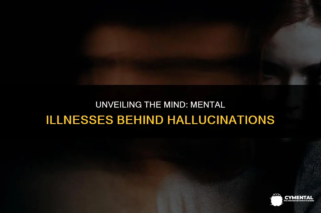 what mental illnesses cause hallucinations