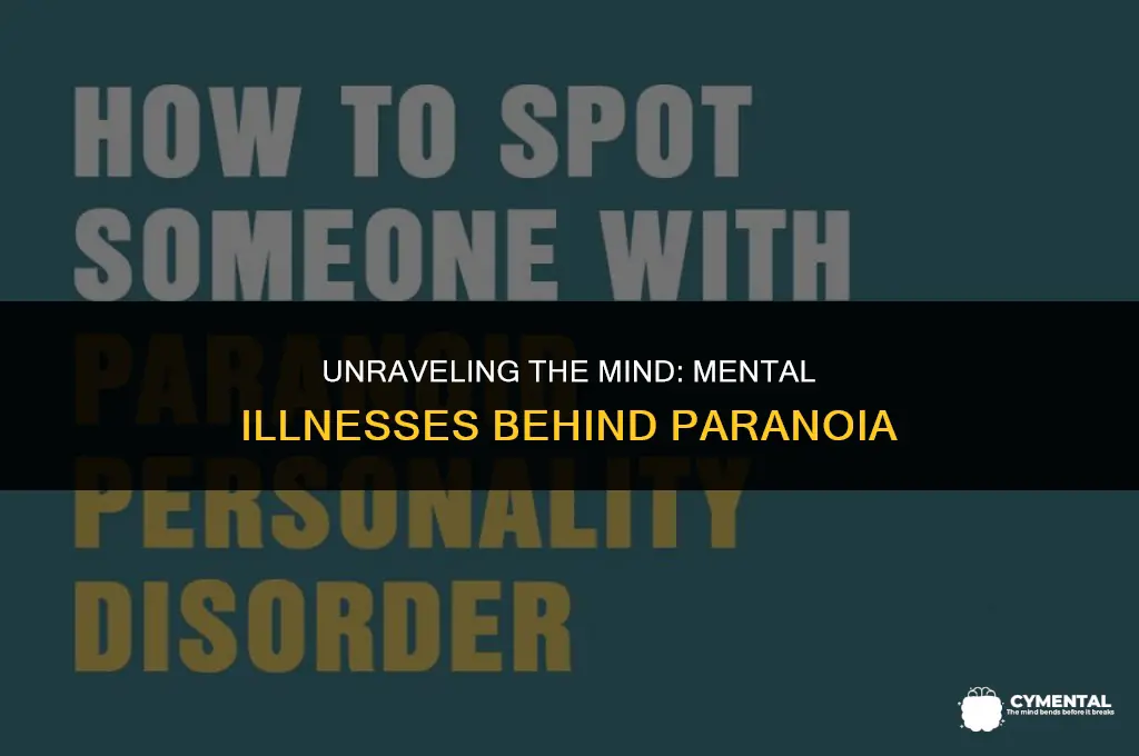 what mental illnesses cause paranoia