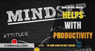 Boosting Productivity: The Power of Focused Mental Processes
