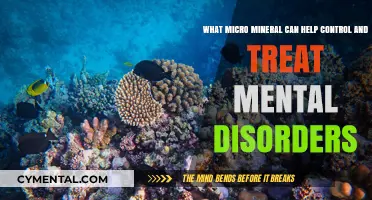 Micro Minerals: Unlocking Mental Health Treatment and Disorder Control