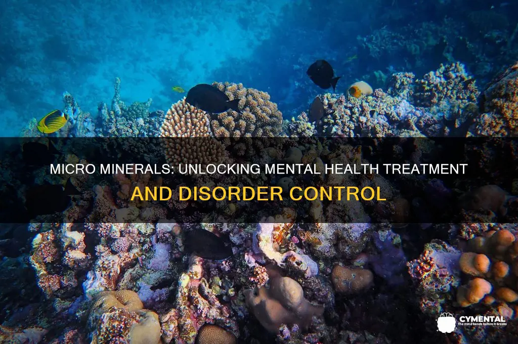 what micro mineral can help control and treat mental disorders