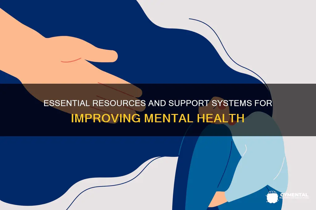 what needs to help mental health paper