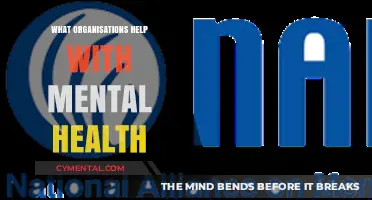 Discover Key Organizations Supporting Mental Health and Well-Being