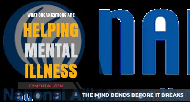Supporting Mental Health: Key Organizations Making a Difference Today
