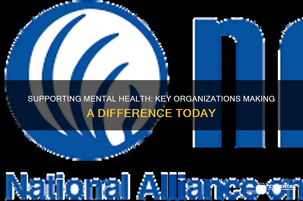what organizations are helping mental illness