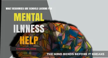 Addressing the Gap: Essential Mental Health Resources Schools Urgently Need