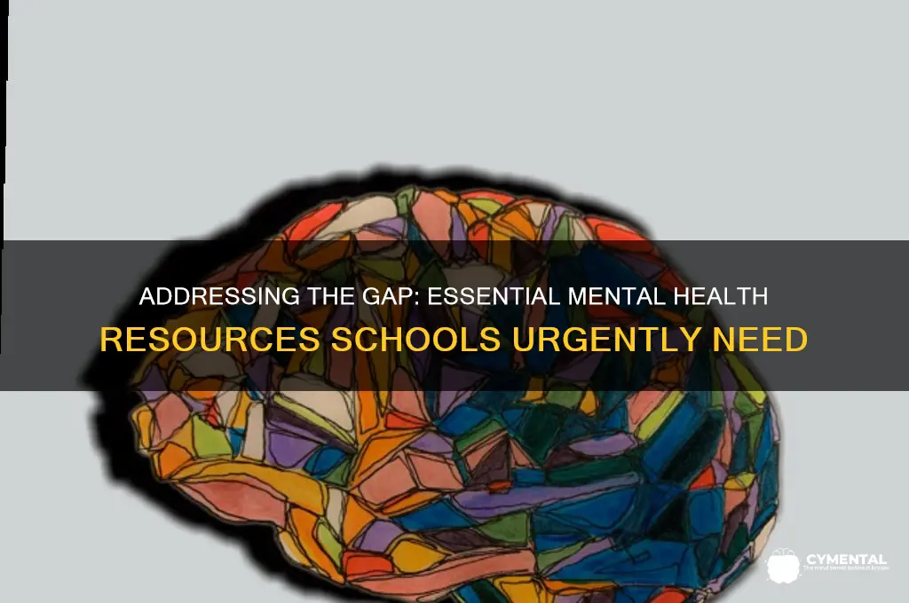 what resources are schools lacking for mental ilnness help