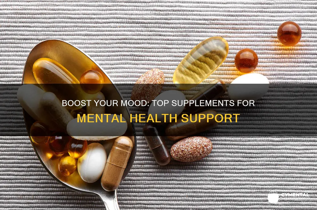 what supplements help with mental health