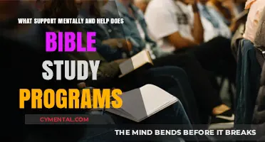 Bible Study Programs: Mental Support and Spiritual Growth Explained