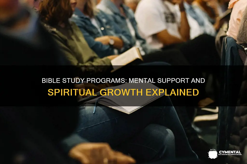 what support mentally and help does bible study programs