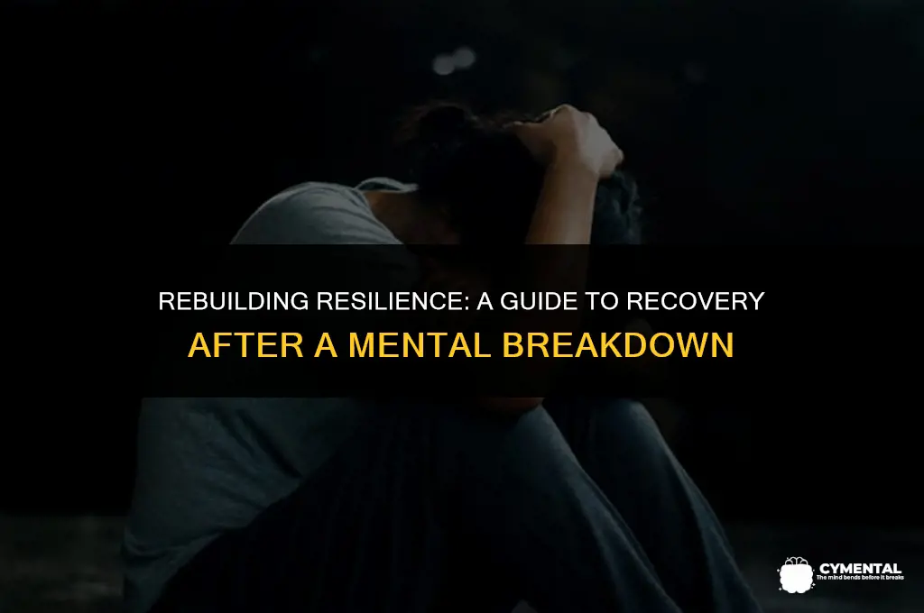 what to do after a mental breakdown