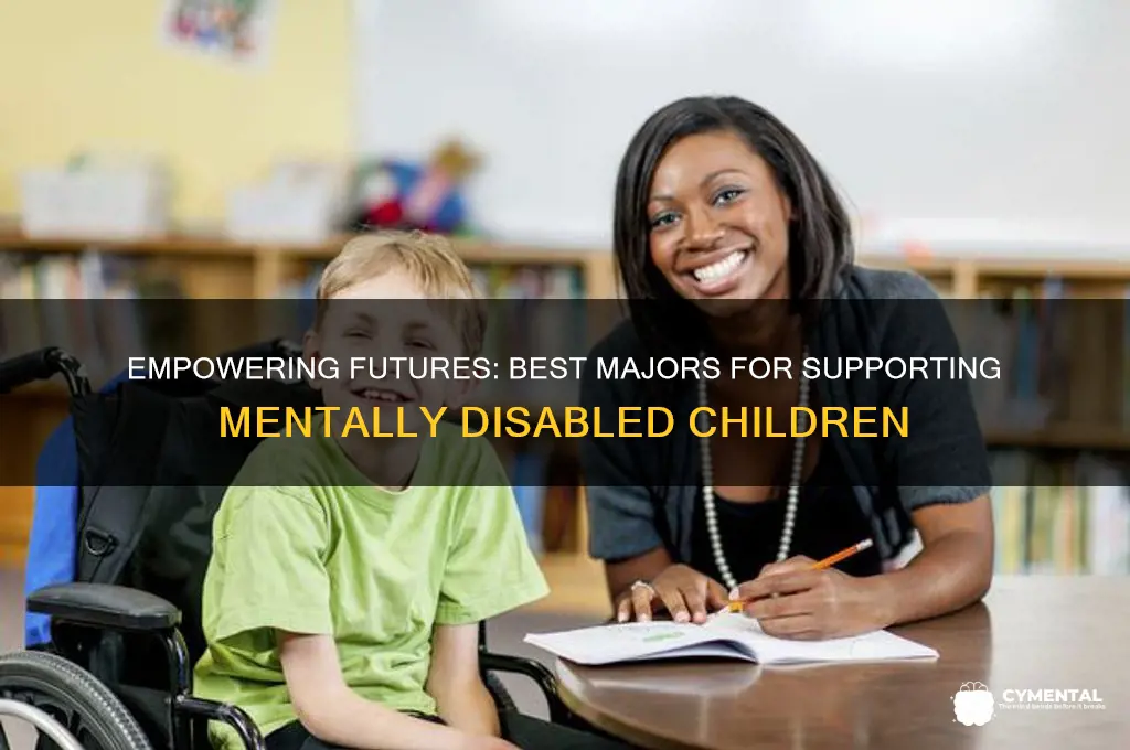 what to majot in to help mentally disabled kids