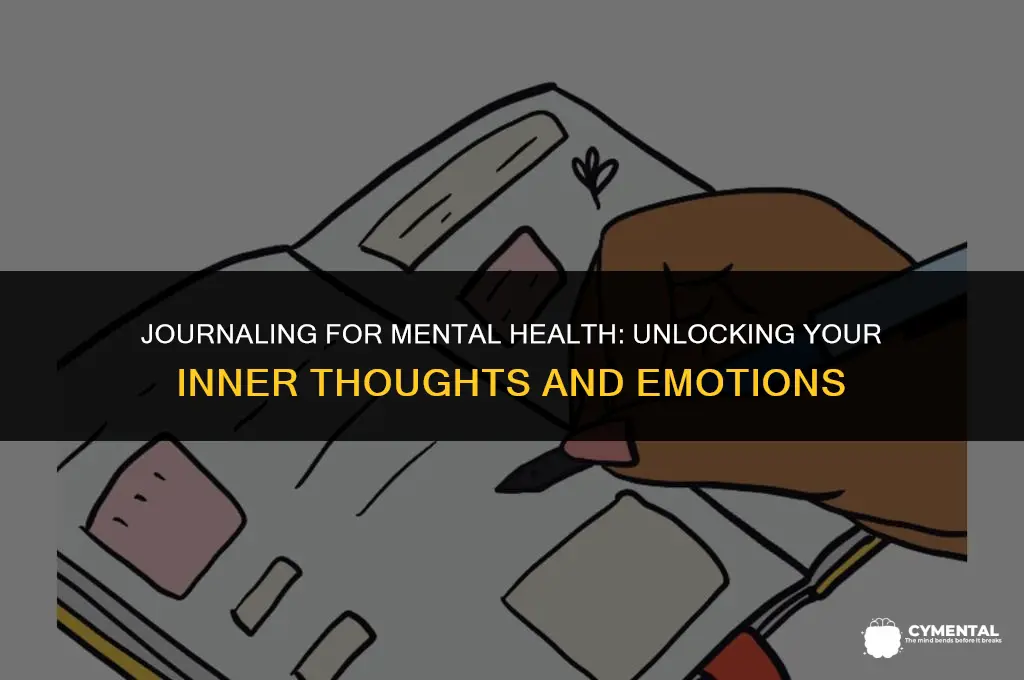what to write in a journal for mental health