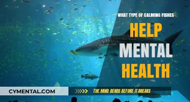 Calming Aquarium Fishes: Enhancing Mental Health and Reducing Stress