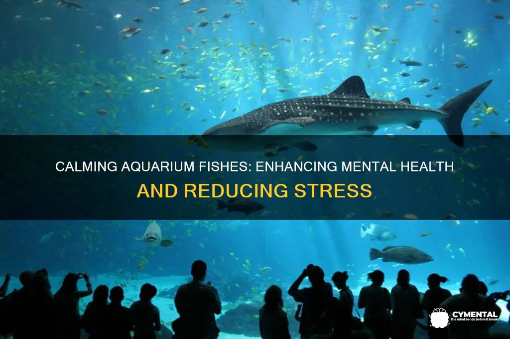 what type of calming fishes help mental health