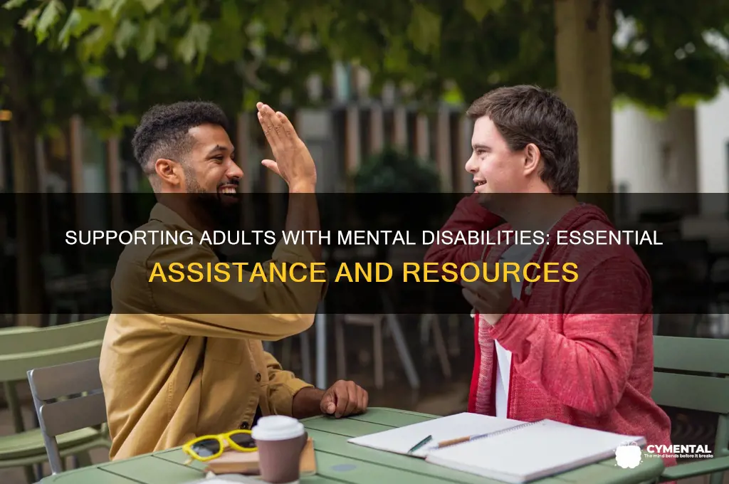 what type of help do adultswith mental disabilities need