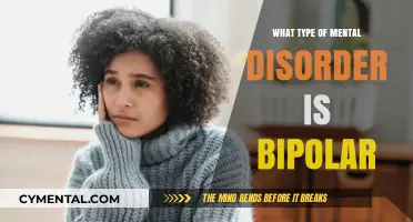 Understanding Bipolar Disorder: Types, Symptoms, and Treatment Options