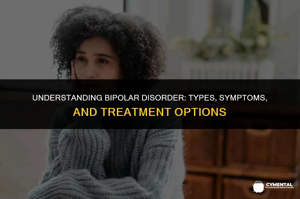 what type of mental disorder is bipolar