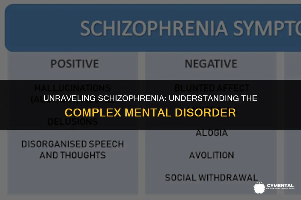 what type of mental disorder is schizophrenia