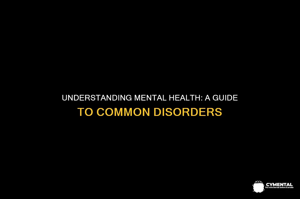 what types of mental health problems are there