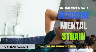 Exploring the Lexicon of Mental Fatigue: A Comprehensive Guide