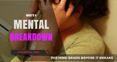 Unraveling the Myths: Understanding Mental Breakdowns in Modern Life