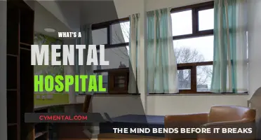 Understanding Mental Health Care: Inside the World of Psychiatric Hospitals
