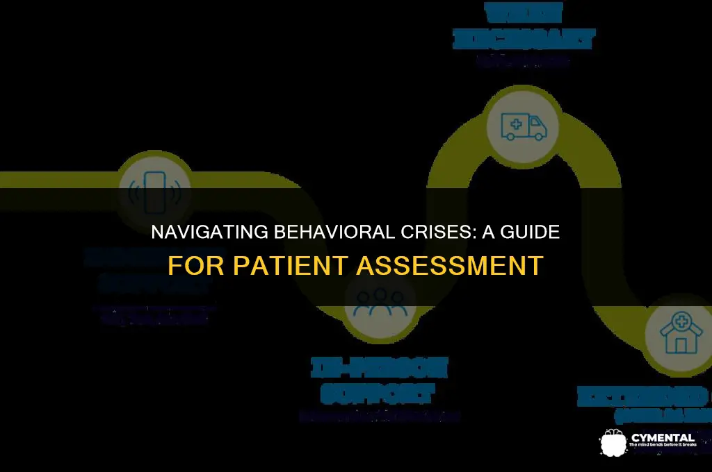 when assessing a patient with a behavioral crisis you should